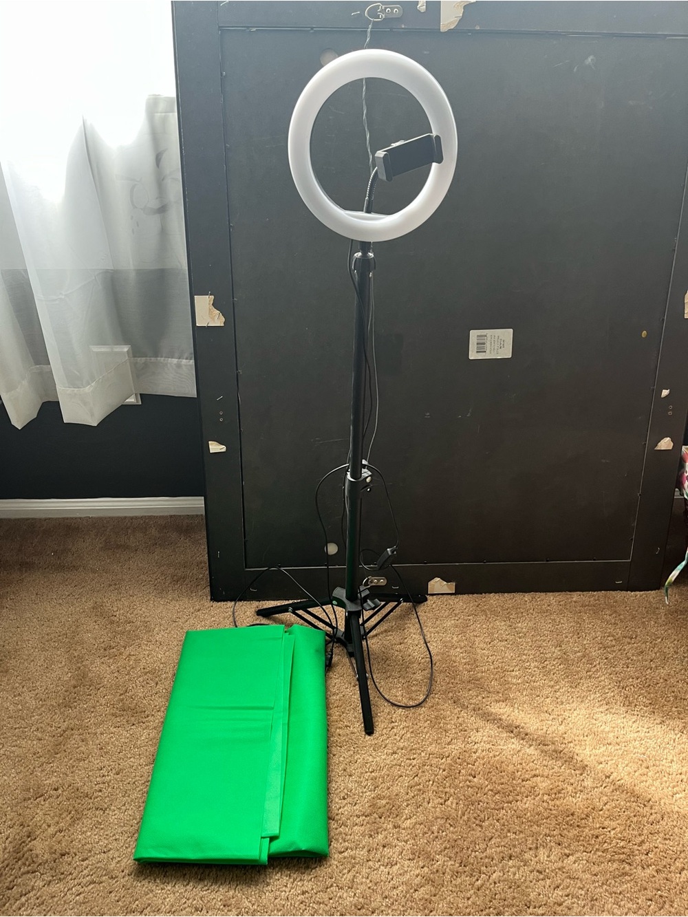 Ring Light on Tripod and Green Screen